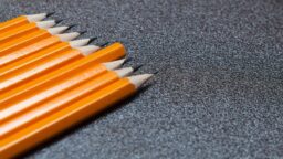 The Revised AP World History Exam for 2020