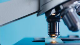 The Revised AP Biology Exam for 2020