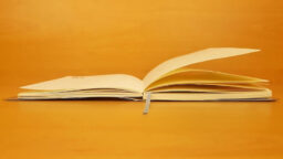 The Revised AP English Literature and Composition Exam for 2020