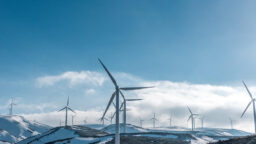 The Revised AP Environmental Science Exam For 2020