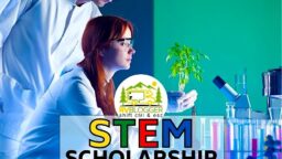 The RVBlogger STEM Scholarship Application Form