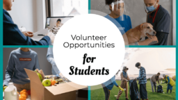 学生のためのボランティアの機会