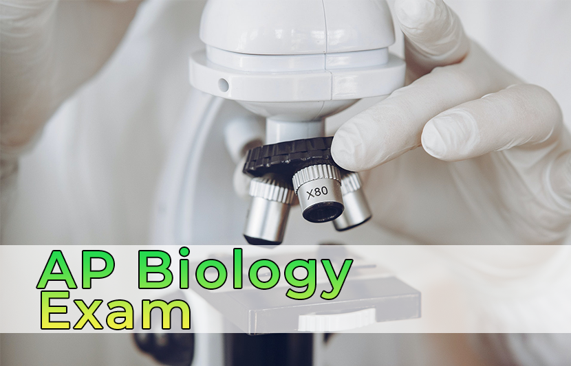 AP Biology Exam 2024 | The University Network