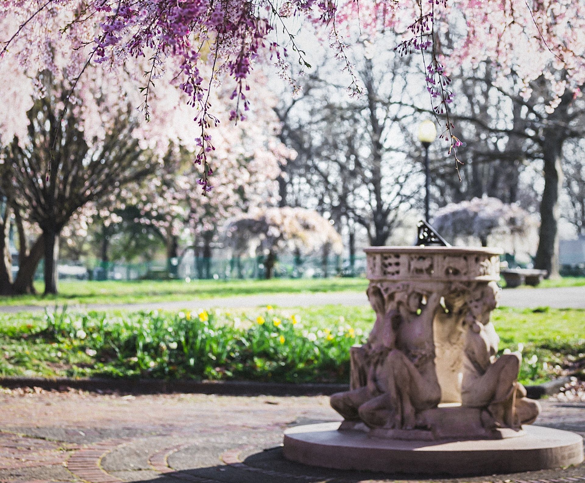 Free Things to Do in Philadelphia – A Broke College Student’s Guide | TUN
