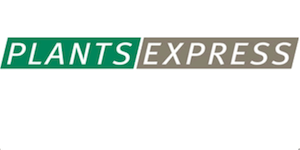 PlantsExpress.com Cupones y ofertas
