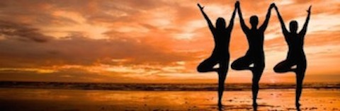 Ginseng Yoga Student Discount – San Diego