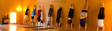 Dharma Yoga Student Discount! – Austin
