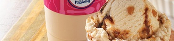 Baskin-Robbins 31 Ice Cream Stores Rice Student Discount! – Houston