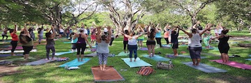 Just Om Yoga Studio Student Discount – South Miami