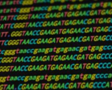 Free Online Education