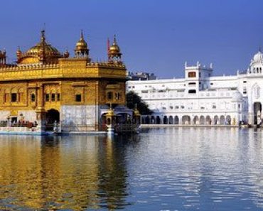 Free Online Education