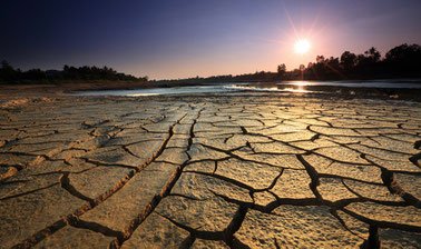 Free Online Education