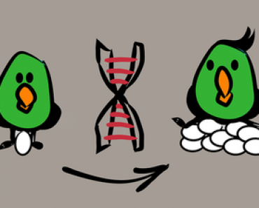 Free Online Education