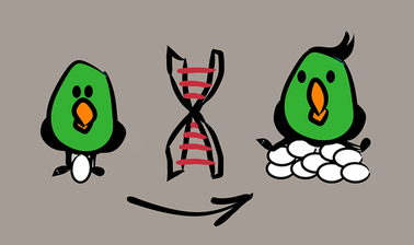 Free Online Education