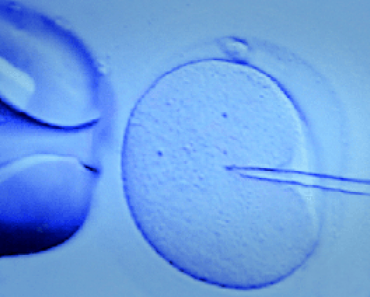 Free Online Education