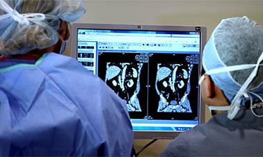 Pendidikan Online Gratis