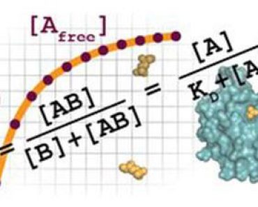 Free Online Education