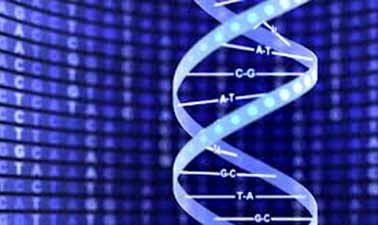 Free Online Education