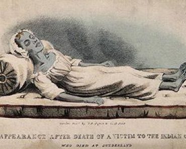 Free Online Education