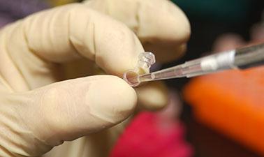 Free Online Education