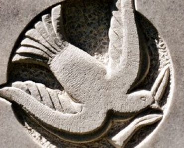 Free Online Education