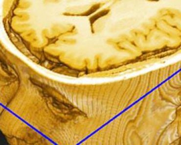 Free Online Education