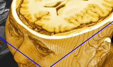 Free Online Education