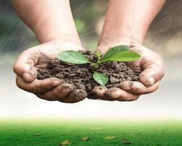 Gestión sostenible del suelo: suelo para la vida