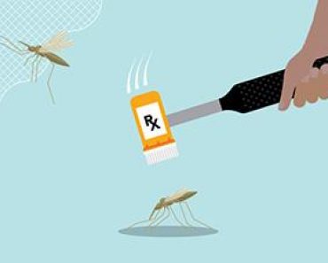 Free Online Education