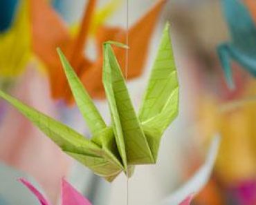 Free Online Education