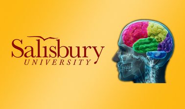 무료 온라인 교육