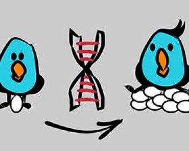 Free Online Education