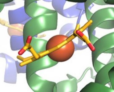 Free Online Education