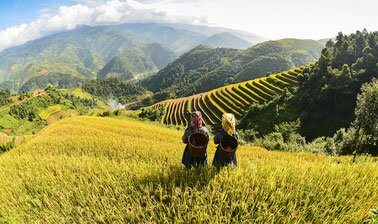 Free Online Education