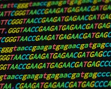 Free Online Education