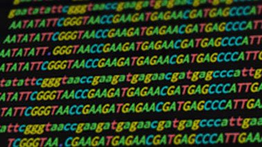 Free Online Education