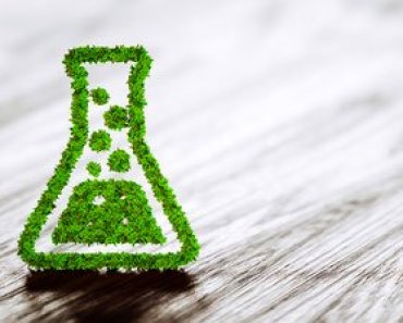 Free Online Education