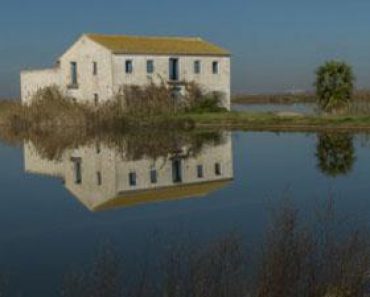 Free Online Education