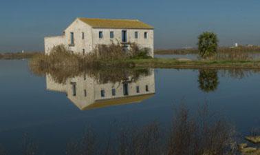 Free Online Education