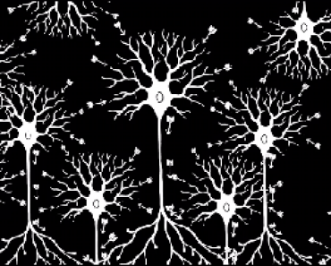 Free Online Education