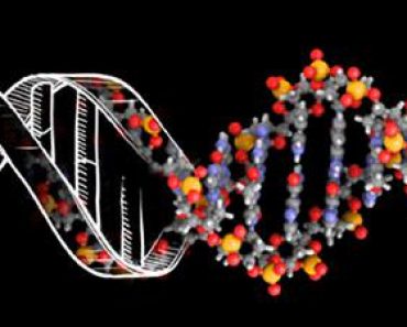 DNA：生物学の遺伝暗号
