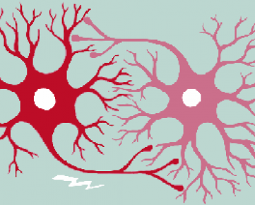 Free Online Education