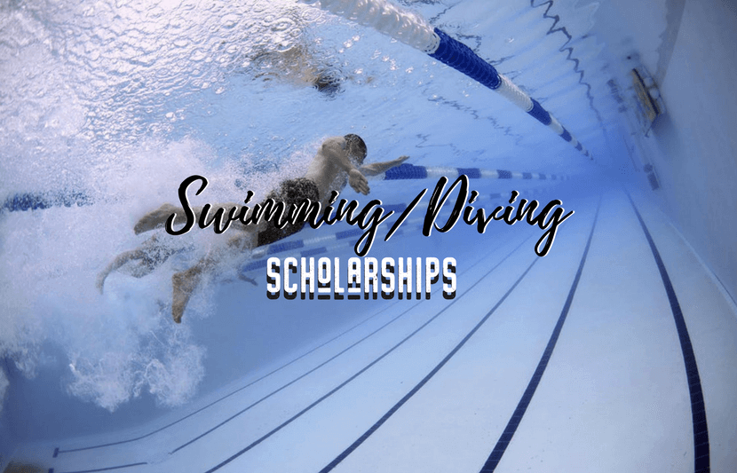 Swimming and Diving Scholarships The University Network