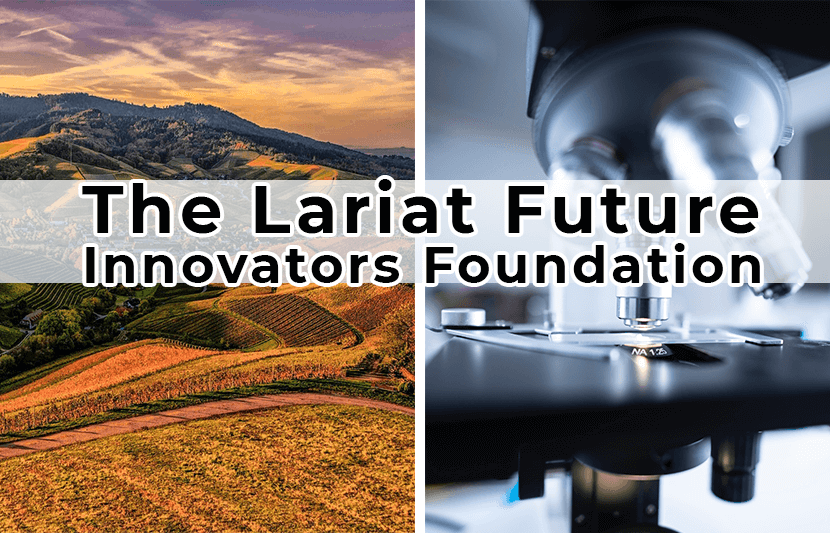 Programma Lariat STEM Scholar