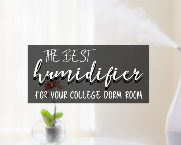 The Best Humidifiers for College Dorms