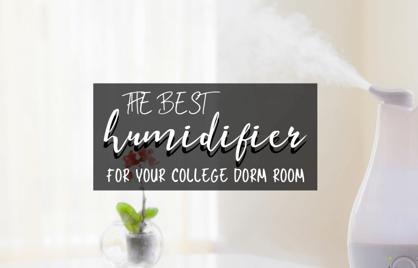 The Best Humidifiers for College Dorms